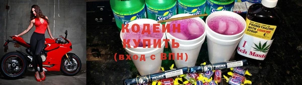 индика Лагань