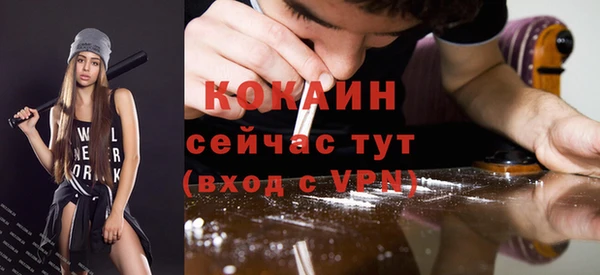 индика Лагань