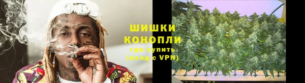 индика Лагань