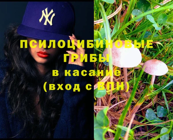 индика Лагань