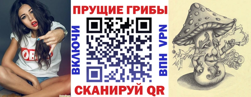 Галлюциногенные грибы Magic Shrooms  Сурск 